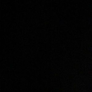 Meet your Posher, Harley